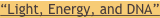 shapeimage_2_link_32